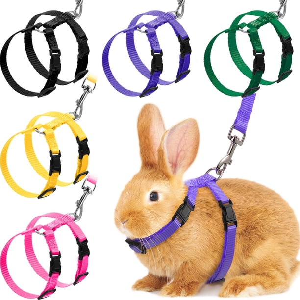 Juego de arneses y correas para conejos, gatos, cachorros y hurones (5 unidades)
