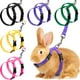 thumbnail image 1 of Juego de arneses y correas para conejos, gatos, cachorros y hurones (5 unidades), 1 of 5