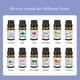 thumbnail image 3 of Aceite esencial puro de océano de 10 ml para humidificador, aromaterapia, hogar y dormitorio, 3 of 8