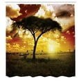 thumbnail image 3 of Ambesonne African Shower Curtain, Sunset in Savannah Animal, 69"Wx84"L, White Green Red, 3 of 5