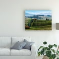 thumbnail image 3 of Trademark Fine Art 'Pastoral Countryside XIII' Canvas Art by Colby Chester, 3 of 4