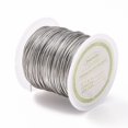 thumbnail image 4 of EIGTHTAIL 23m 0.5mm 316 Surgical Stainless Steel Wire for Jewelry Making Stainless Steel Color, 4 of 5