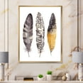 thumbnail image 2 of Designart 'Boho Ethnic Art Dark Gray Feathers III' Bohemian & Eclectic Framed Canvas Wall Art Print, 2 of 5