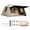 Moch(Vinyl record), variant on 4-6 Person Large Family Instant Tent, 10.5'x6.9'x6', Weather Resistant Tents with Breathable Mesh Windows & Extended Vestibule, All Season, Easy Setup Glamping Tent for Outdoor Party Picnic, Mocha