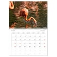 thumbnail image 6 of Elegant Flamingo (Monthly Wall Calendar 2026 16.5 x 23.4 (open)), CALVENDO 14 Month Calendar, 6 of 9