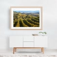 thumbnail image 6 of Tuscan Countryside - Vineyards of San Gimignano - Tuscany Italy Photography Unframed Wall Art Print 16 x 24 inches, 6 of 7