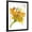 Black Frame, variant on Art.com Spring Mix Stretched Canvas Print Wall Art by Jan Weiss, 24" x 32"