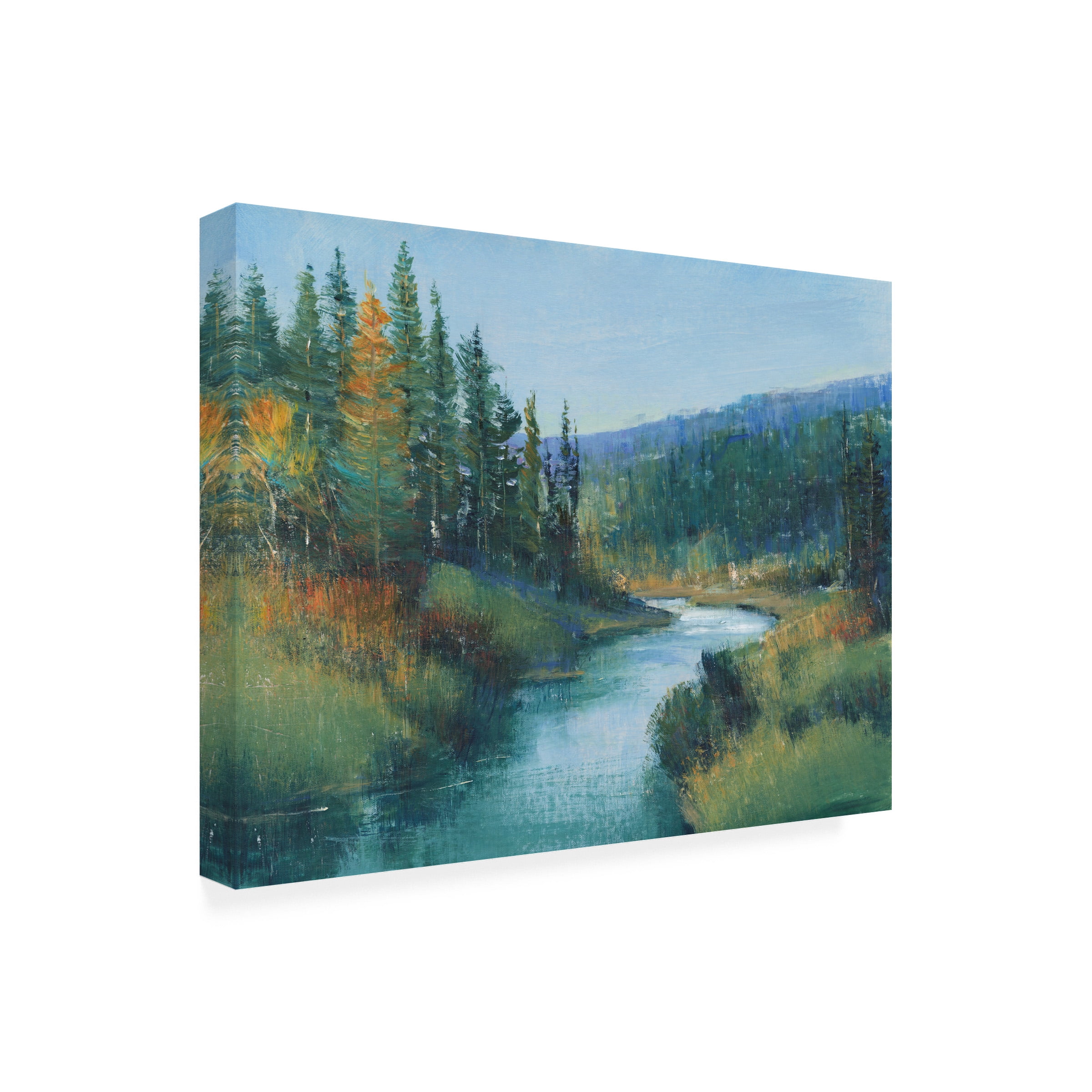Tim OToole 'Trout Stream I' Canvas Art