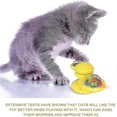thumbnail image 2 of Portable Pets Toys, Interactive Puzzle Cats Hubbing Training Ball Swirling Ball Playing Play Chat Supplies, 2 of 3
