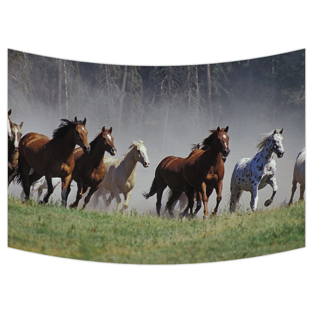 GCKG Wild Running Horses Tapestry Wall Hanging,Wall Art, Dorm Decor