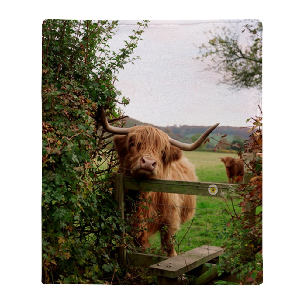 CafePress Highland Cow Throw Blanket Soft Fleece Throw Blanket, 50