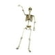 thumbnail image 5 of Escultura de terror articulada de esqueleto de Halloween con articulaciones móviles para fiestas en casa y fiestas temáticas de enseñanza de anatomía. 90 centímetros, 5 of 9