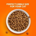 thumbnail image 6 of Iams Proactive Health Adult Hairball Care with Chicken & Salmon Dry Cat Food, 3.5 lb, 6 of 12