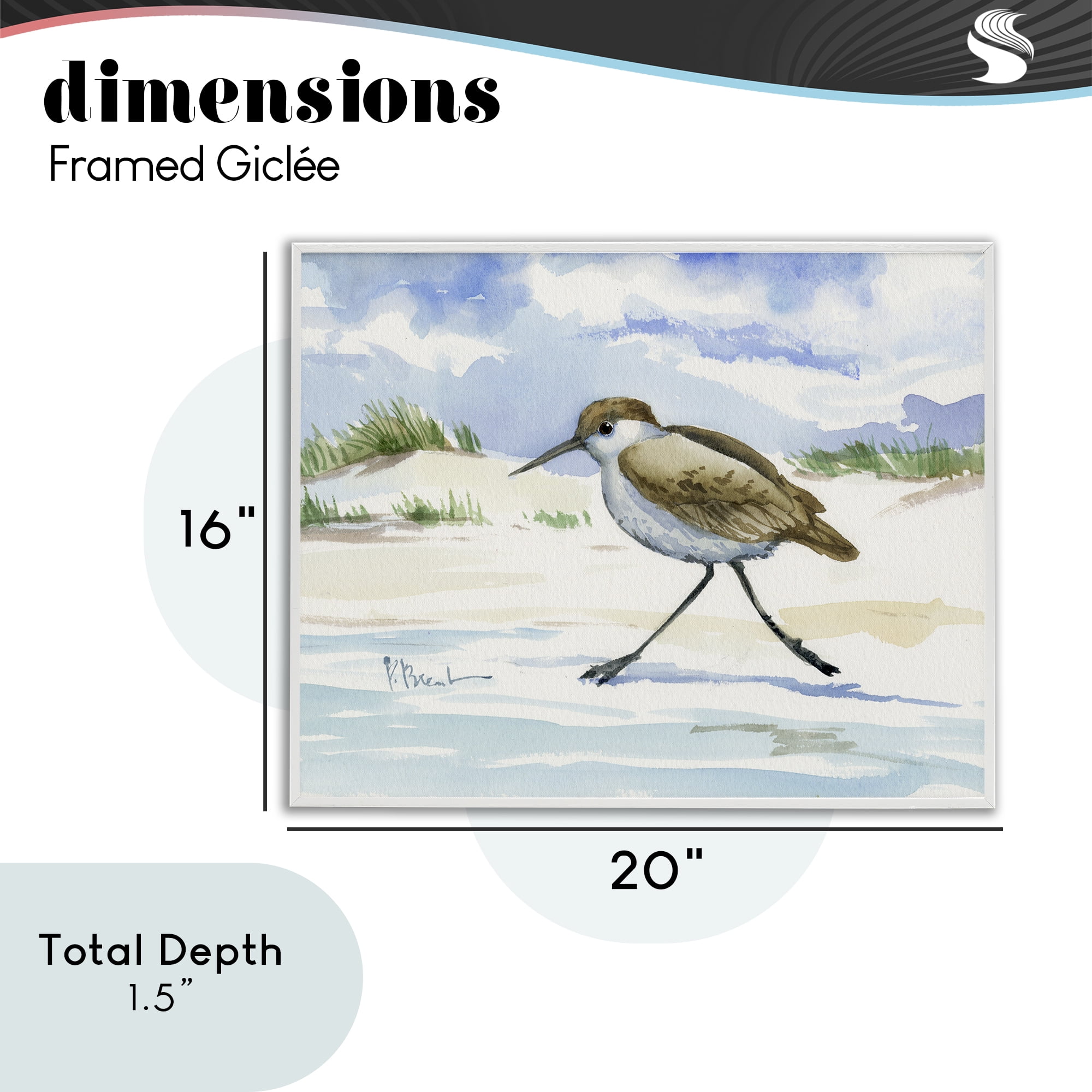 Stupell Industries Inlet Beach Sandpiper Running White Framed Giclee Art, design by Paul Brent