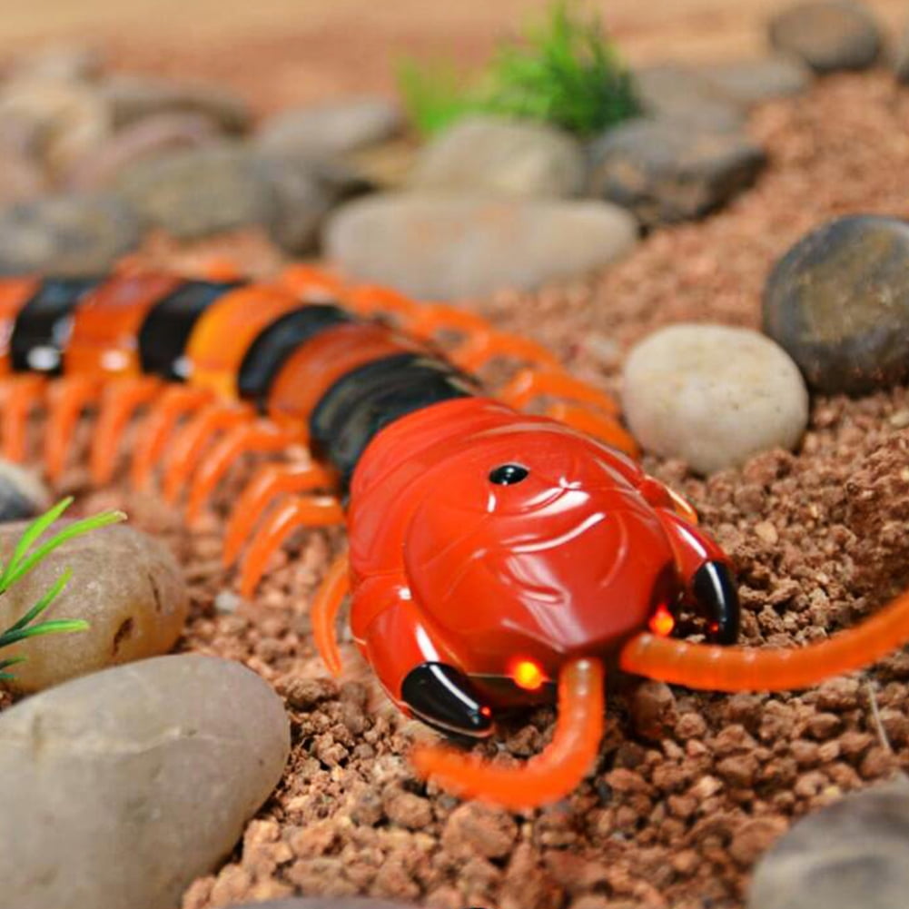 remote control centipede