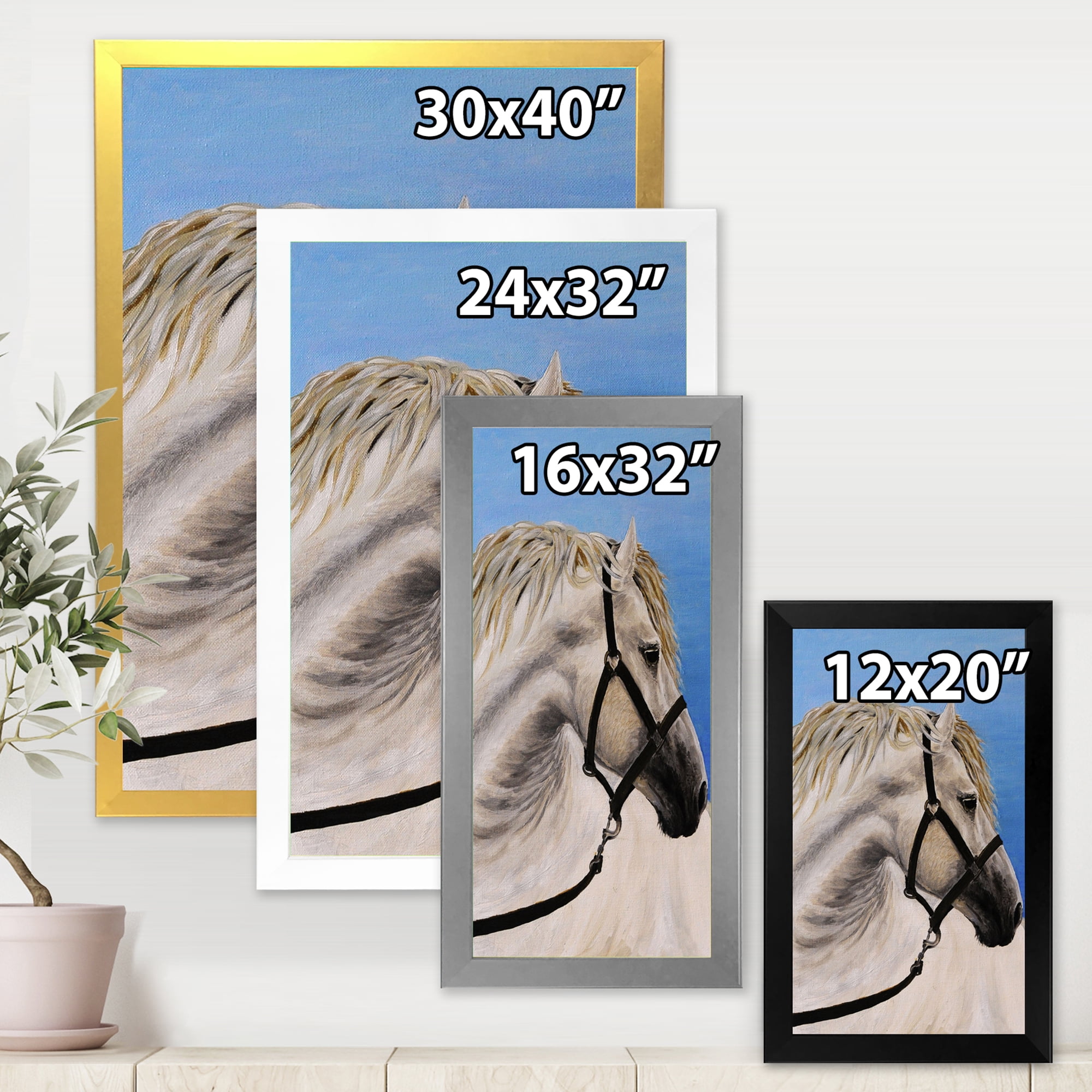 Designart 'Close Up Of White Horse In The Furrow' Farmhouse Framed Art Print