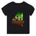 thumbnail image 3 of Camiseta con estampado de juego Mc para niños de 2 a 14 años, divertida camiseta de dibujos animados con números de cumpleaños, regalo para bebés, camisetas de algodón para niñas, 3 of 5