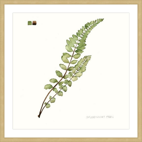 Marmont Hill "Leaf Study I" Framed Painting Print