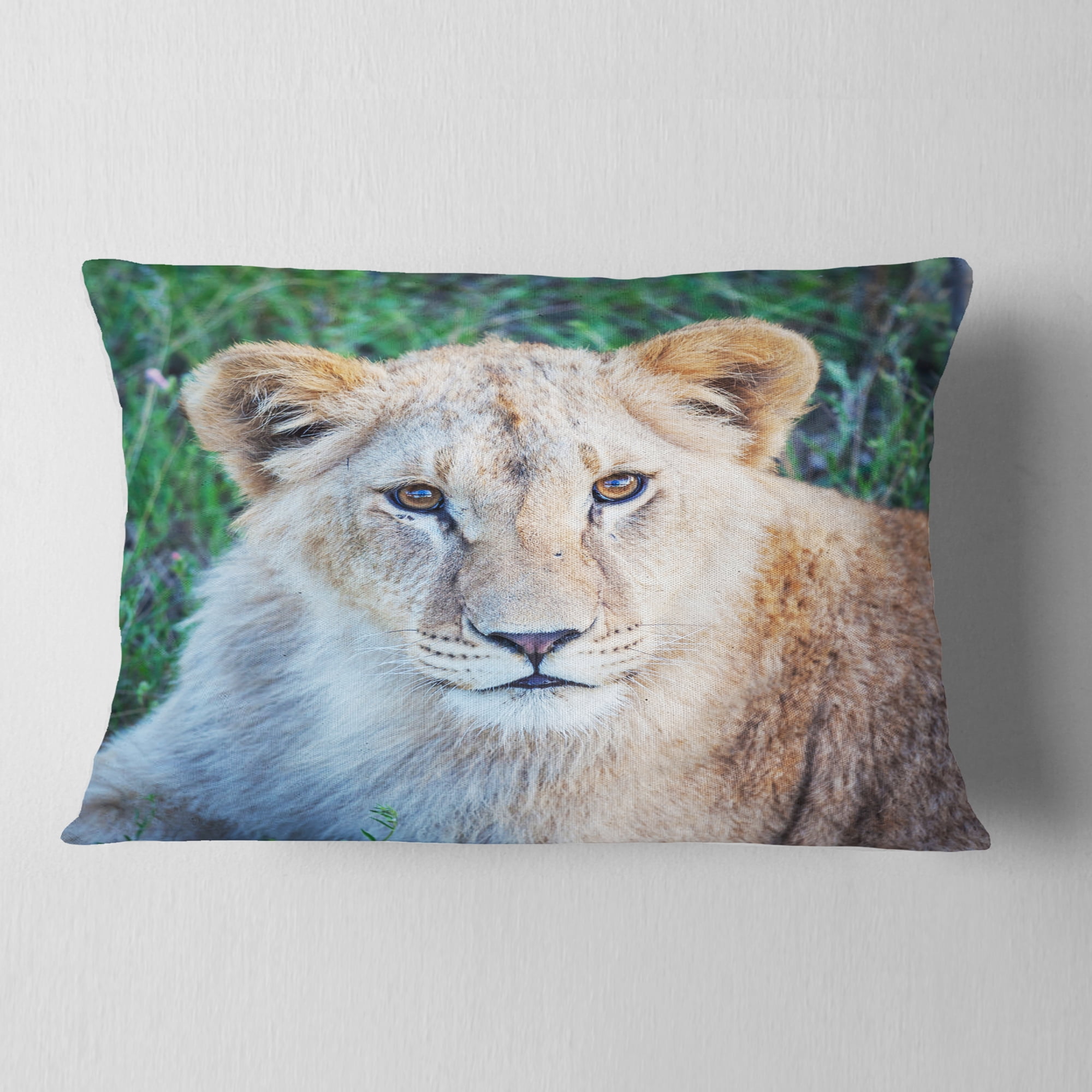 Designart Large Lion Relaxing in Forest - African Wall Throw Pillow - 12x20