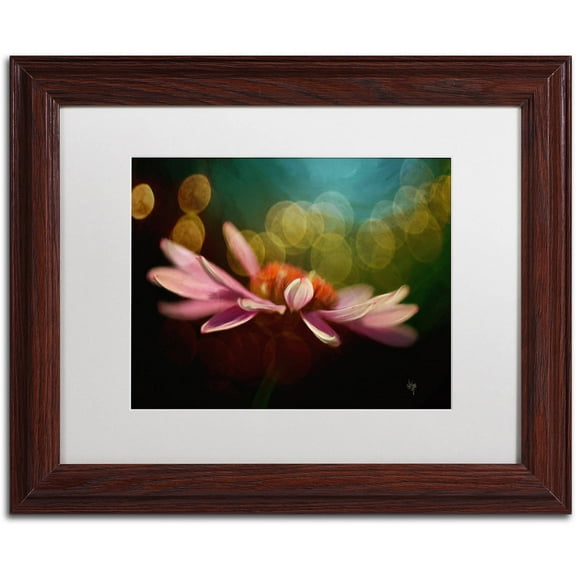 Trademark Fine Art "The Secret World of Coneflowers" Canvas Art by Lois Bryan White Matte, Wood Frame