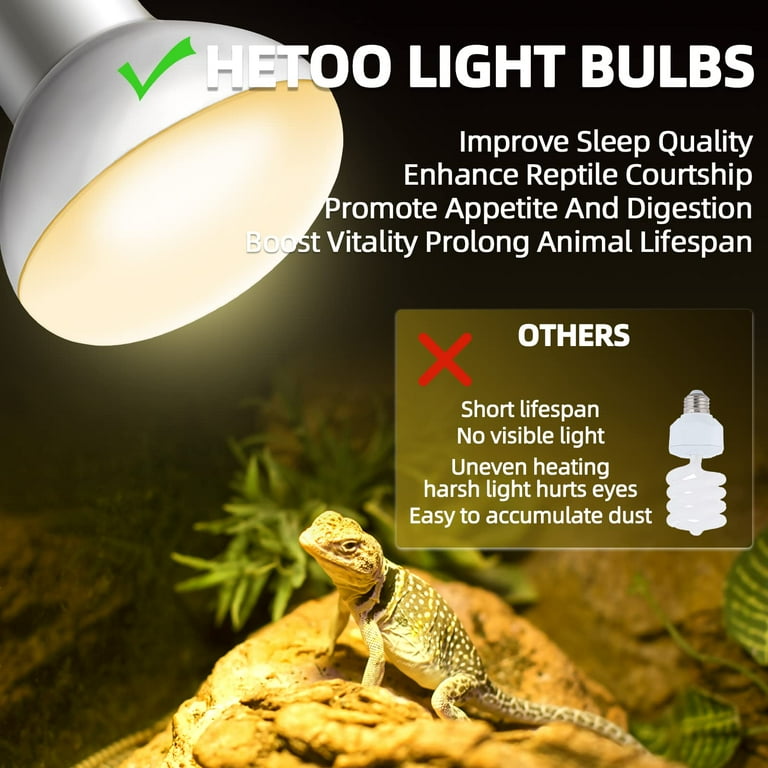 Bearded Dragon Lighting Requirements