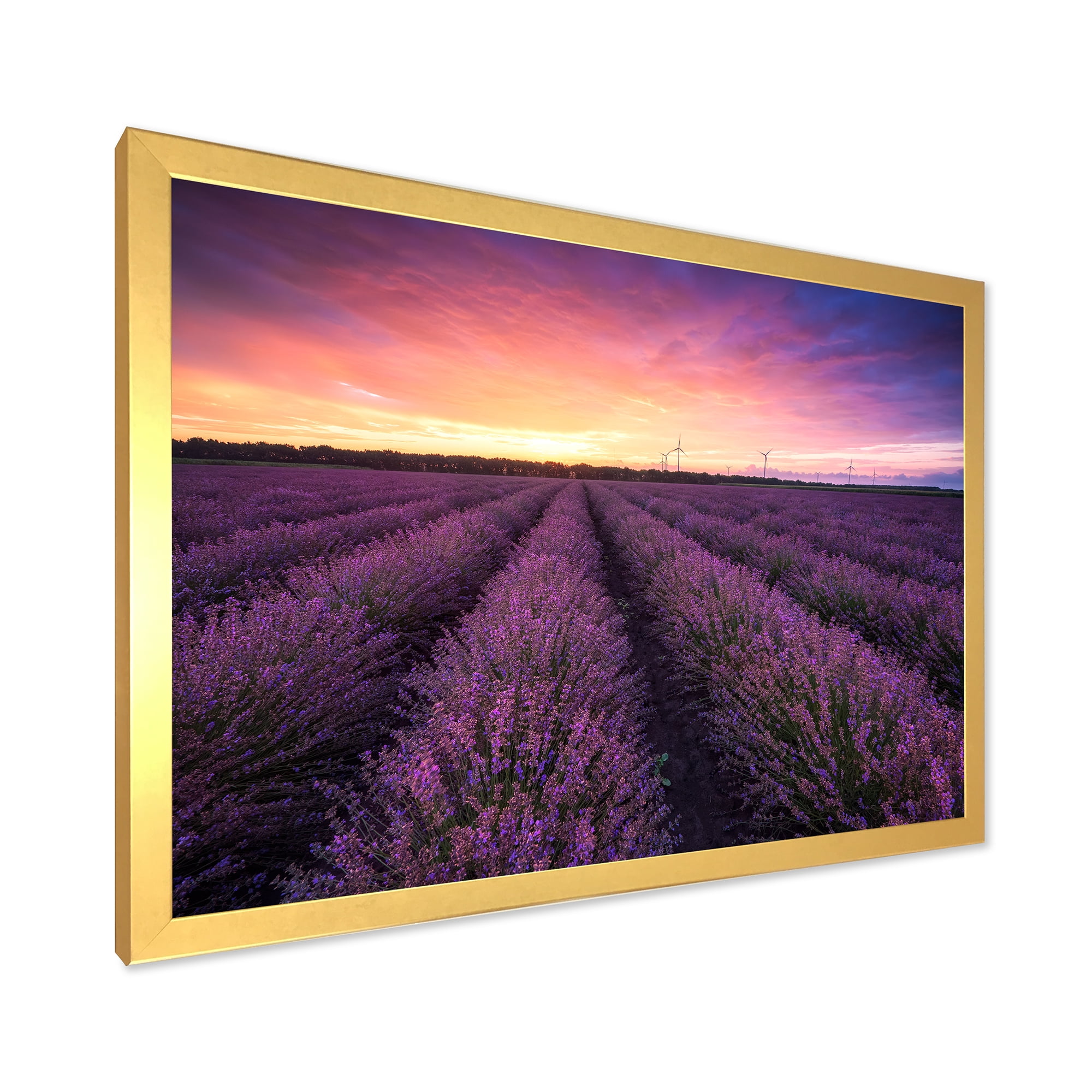 Designart 'Dramatic Clouds and Sunrise Over Lavender Field XIII' Farmhouse Framed Art Print