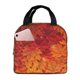thumbnail image 1 of Easygdp Autumn Leaf Bolsa Térmica Premium - Tela Oxford Impermeable, Gran Capacidad, Bolsillo Frontal, Unisex para Trabajo, Escuela, Actividades al Aire Libre y Picnics, 1 of 8
