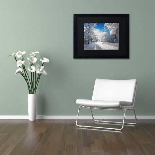 Trademark Fine Art "Going Nowhere" Canvas Art by Philippe Sainte-Laudy, Black Matte, Black Frame