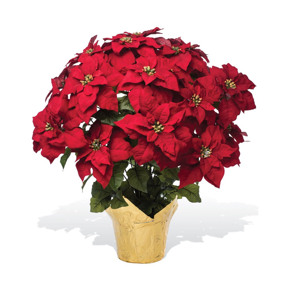 Extra Large Premier Silk Poinsettia Red