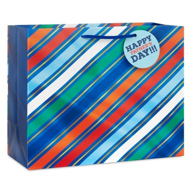 Hallmark Large Horizontal Father's Day Gift Bag (Colorful Diagonal Stripes)