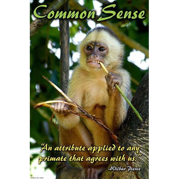 Common Sense- Fine Art Canvas Print (20" x 30")