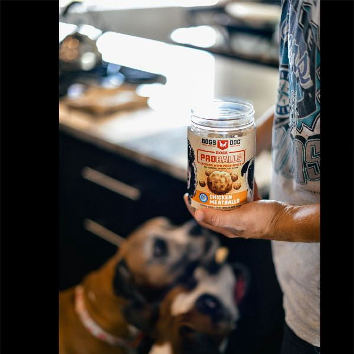 Boss Dog & Cat Proballs Pill Pocket Freeze Dried Probiotic  Treat, Chicken, 6oz
