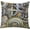 Af-q202, variant on Throw Pillow Cover Beautiful Tropical Beach with Palm Tree Home Decor Pillowcase for Sofa 18x18 Inches