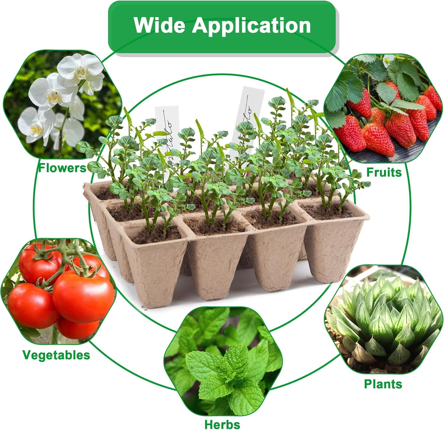 Seed Starter Tray Kit, Biodegradable Peat Pots for Seedlings Trays, Plant Starter Germination Kit with Labels and Transplant Tools