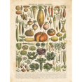 thumbnail image 3 of Babbitt, Gwendolyn 15x18 Black Modern Framed Museum Art Print Titled - French Vegetable Chart, 3 of 5