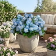 thumbnail image 3 of Nearly Natural UV-Resistant Artificial Hydrangea Outdoor Bush Plant - 14" - Blue - Set of 6, 3 of 9