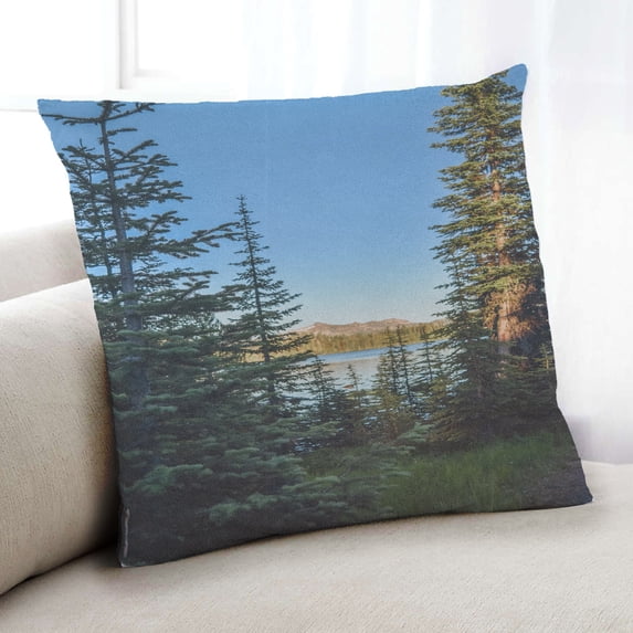 Ahgly Company State Idaho Indoor Throw Pillow, 18 inch by 18 inch
