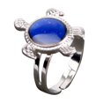 thumbnail image 1 of Encanto de la tortuga de detección de temperatura de cambio de color colgante anillos para las mujeres estilos surtidos unisex mejores regalos de joyería de acero inoxidable de la cadena, 1 of 3