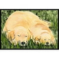 thumbnail image 1 of Carolines Treasures SS8838JMAT Paillasson Golden Retriever 24 x 36 Po., 1 of 4