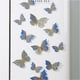 thumbnail image 5 of Decoración de pared de mariposas 3D, 24 piezas, 4 estilos, 3 tamaños, decoraciones de cumpleaños de mariposas y decoraciones de fiesta de mariposas, 5 of 6