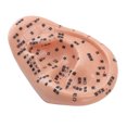thumbnail image 1 of Modèle de Zone d'Oreille, Modèle de Point d'Acupuncture d'Oreille en PVC Souple pour Apprentissage Réflexologie, 1 of 8