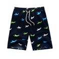 thumbnail image 1 of Sfit 2019 verano hombres tabla de Surf estampado Floral traje de baño natación ropa de playa cinturón correr Quickk seco más pantalones cortos de talla grande Fivean unisex, 1 of 2