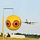 thumbnail image 5 of Repelente de plagas Ojos de terror Globo inflable para asustar pájaros Globo repelente de pájaros Globo de ojos, 5 of 8