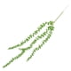 thumbnail image 5 of Suculentas artificiales Perlas Hiedra carnosa Flores colgantes Verde, 5 of 9