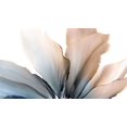 thumbnail image 2 of Kroker, Wendy 18x12 White Modern Wood Framed Museum Art Print Titled - Delicate in Blue, 2 of 4