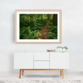 thumbnail image 6 of Ferns on Partridge Island Trail, Lynnfield 02 - Lynnfield Massachusetts Photography Forest Nature Landscape Botanical Scenic Summer Rustic Unframed Wall Art Print 16 x 24 inches, 6 of 7