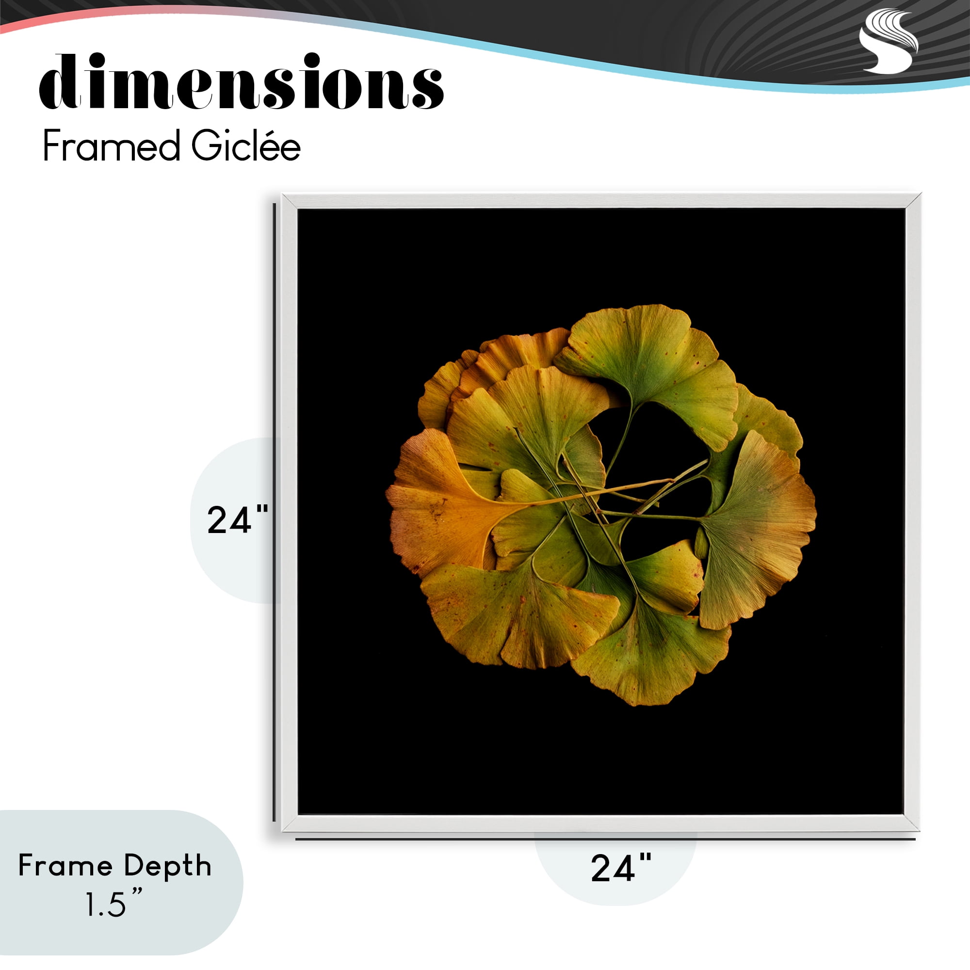 Stupell Industries Overlapping Ginkgo Leaves White Framed Giclee Art, design by Beth Adoette
