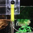 thumbnail image 3 of Miangastore 2pcs Kitchen U-shaped Pipe Brush Cleaning Brush Glass Inlet and Outlet Nylon Brush Aquarium Cleaning Tools Spring Brushes for Home (Yellow), 3 of 8