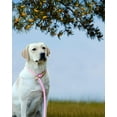 thumbnail image 6 of Dog Leashes for Medium Large Dogs, Dog Leash Slip Lead, Dog Training Leash Strong Heavy Duty Braided No Pull Training Lead Leashes for Small Medium Large Dogs, Orange, 6 of 8