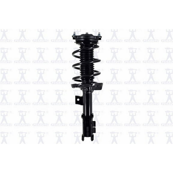 Suspension Strut and Coil Spring Assembly